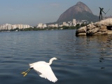 Lagoa Limpa rumo às Olimpíadas 2016. Será?